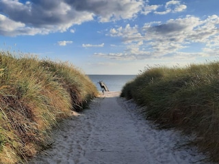Vakantiehuis Blåvand  30