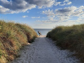 Vakantiehuis Blåvand  9
