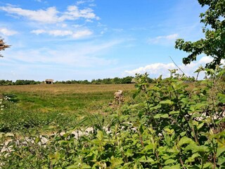 Casa per le vacanze Humble  5