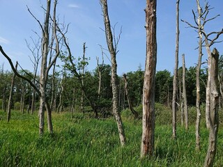 Casa per le vacanze Truust  26