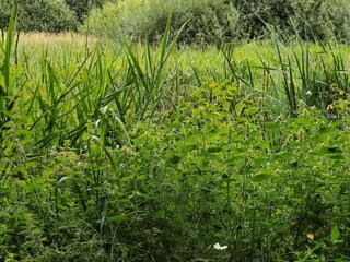 Casa de vacaciones Truust  27