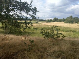 Casa de vacaciones Truust  33