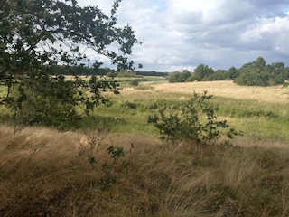 Vakantiehuis Truust  28