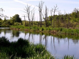 Ferienhaus Truust  33