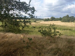 Ferienhaus Truust  33