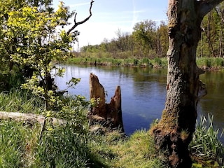 Vakantiehuis Truust  34