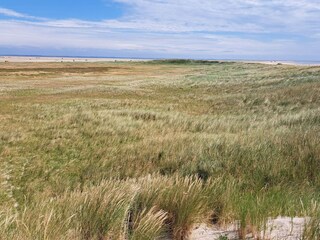 Vakantiehuis Kongsmark  26