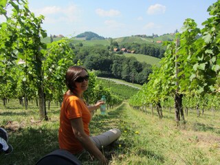 Blick in die wunderschönen Weingärten