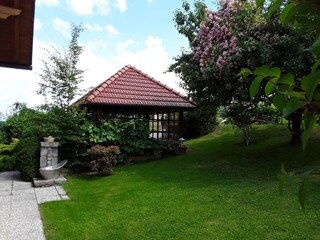Der blühende Rosenbaum