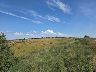 Holiday house Humble  14