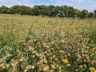 Ferienhaus Humble  26