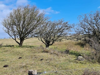 Holiday house Humble  35