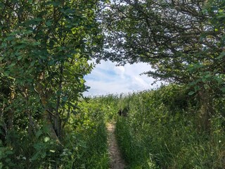 Casa de vacaciones Humble  28