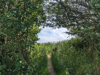 Maison de vacances Humble  28