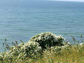 Vakantiehuis Humble  30