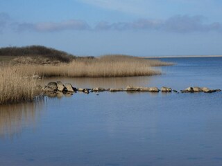 Vakantiehuis Bork Havn  19