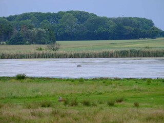 Vakantiehuis Vaeggerløse  35