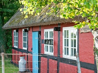 Ferienhaus Svaneke  35
