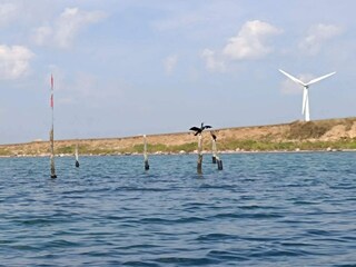 Casa de vacaciones Kegnæs  28