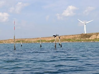 Vakantiehuis Kegnæs  36