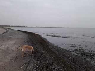 Maison de vacances Kramnitse  12