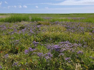 Maison de vacances Bramming  17