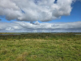 Vakantiehuis Bramming  10