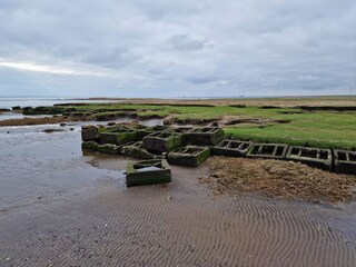 Maison de vacances Bramming  14