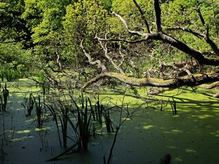 Casa per le vacanze Lohals  26