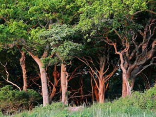 Casa de vacaciones Lohals  15