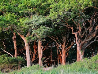 Ferienhaus Lohals  17