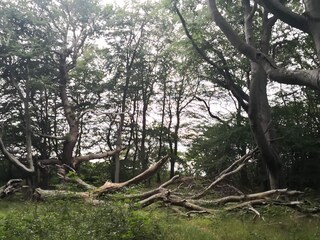 Ferienhaus Lohals  24