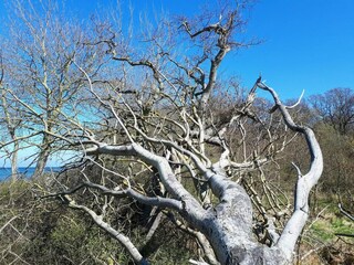 Ferienhaus Lohals  30