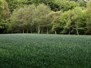 Maison de vacances Lohals  30