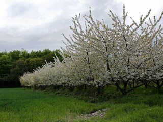 Casa per le vacanze Lohals  15