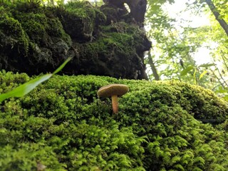 Ferienhaus Lohals  20