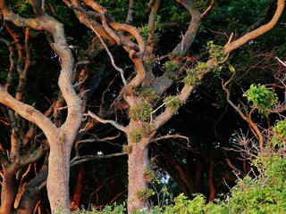 Vakantiehuis Lohals  33