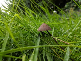 Ferienhaus Lohals  18