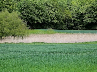 Ferienhaus Lohals  9