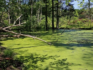 Casa de vacaciones Lohals  17