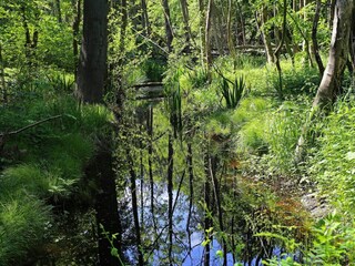 Ferienhaus Lohals  18