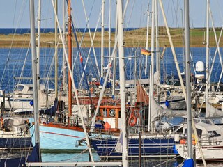 Appartement Wendtorf  15