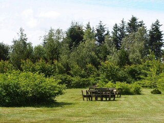 Maison de vacances Tranum Strand  10