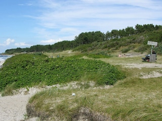 Ferienhaus Hasle  4