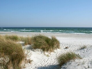 Vakantiehuis Snogebæk  8