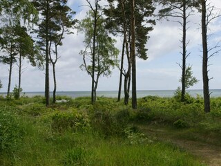 Holiday house Snogebæk  16