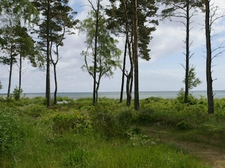 Vakantiehuis Snogebæk  11