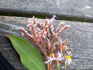 Maison de vacances Als  18