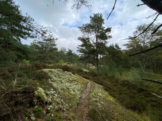 Vakantiehuis Als  14