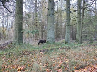 Casa de vacaciones Hovborg  29